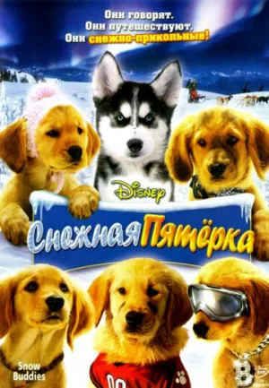 Снежная пятерка (сериал 2008)