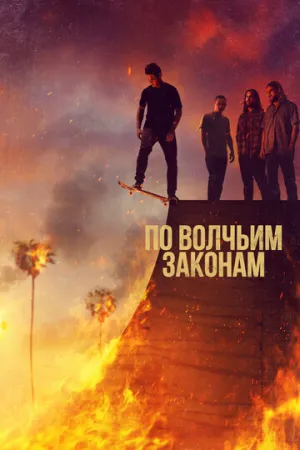 По волчьим законам (сериал 2016)