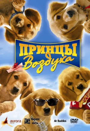 Принцы воздуха (сериал 2006)