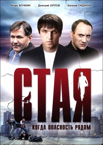 Стая (сериал 2005)