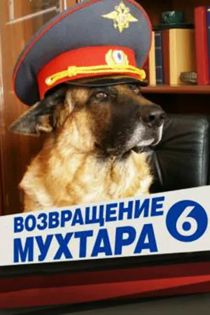 Возвращение Мухтара 6 (сериал 2009)