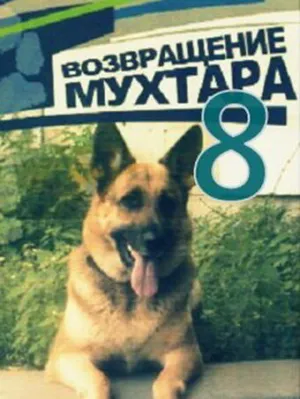 Возвращение Мухтара 8 (сериал 2012)