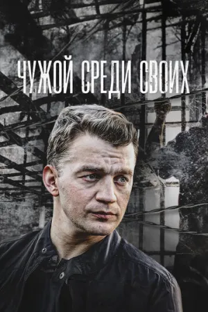 Чужой среди своих (сериал 2014)