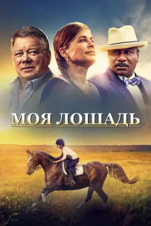 Моя лошадь (2016)