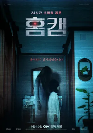 Домашняя камера (2025)