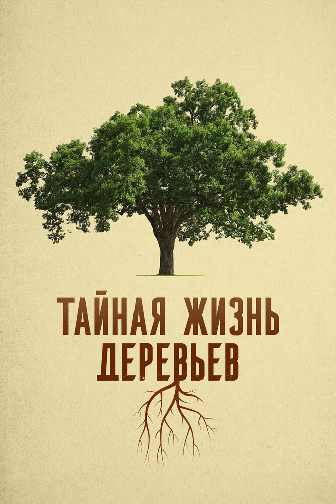 Тайная жизнь деревьев (2020)